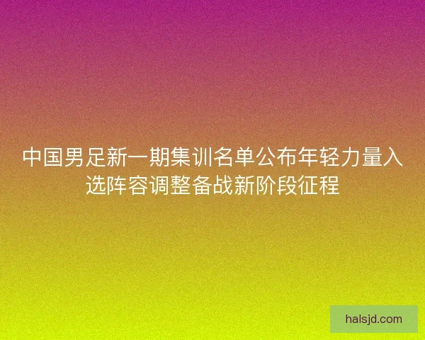中国男足新一期集训名单公布年轻力量入选阵容调整备战新阶段征程