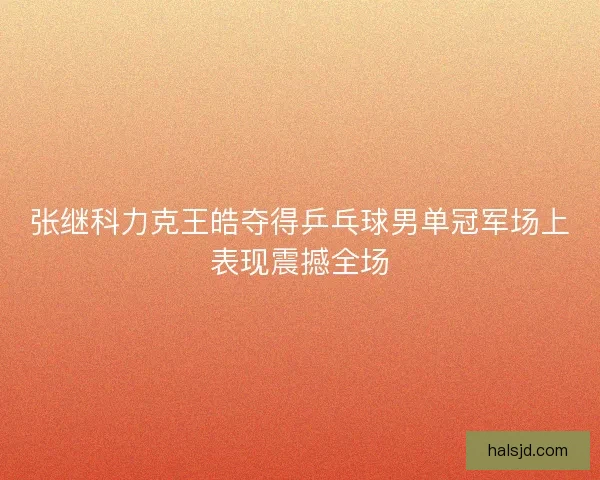 张继科力克王皓夺得乒乓球男单冠军场上表现震撼全场