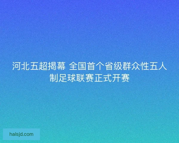 河北五超揭幕 全国首个省级群众性五人制足球联赛正式开赛 河北五超揭幕 全国首个省级群众性五人制足球联赛正式开赛